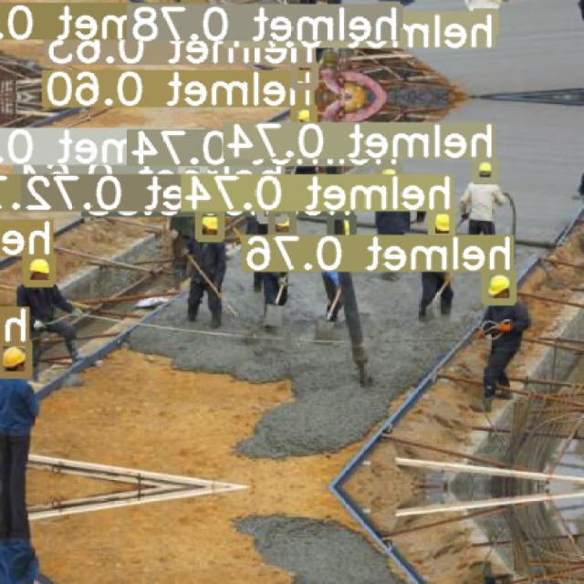 Dataset Image