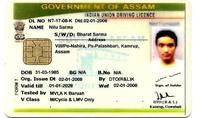 Dataset Image