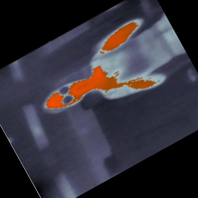 Dataset Image