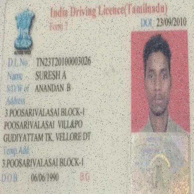 Dataset Image