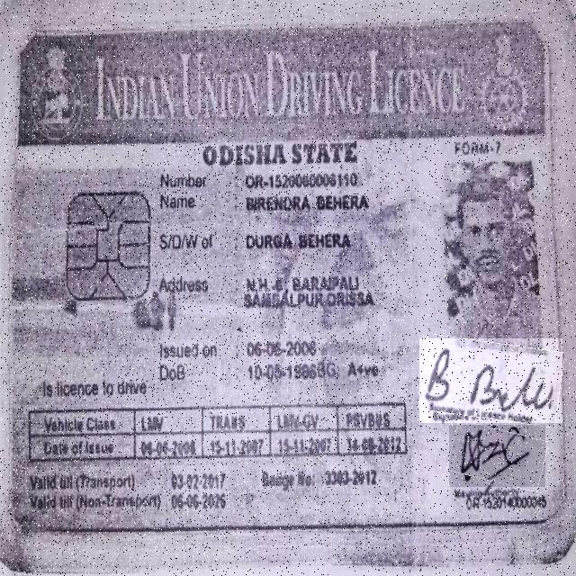 Dataset Image