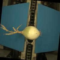 Dataset Image