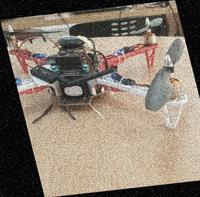 Dataset Image