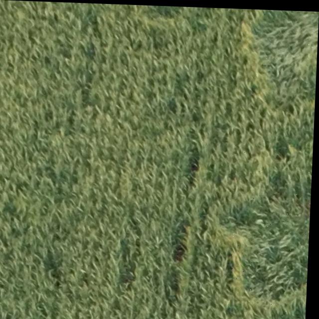 crop lodging Object Detection Model (v1, 2024-04-08 2:25pm) by ...