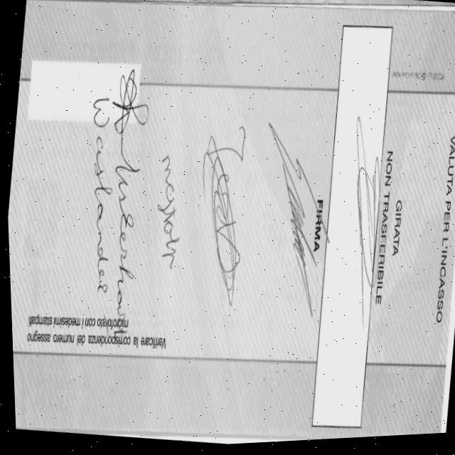 Dataset Image