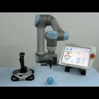 Dataset Image