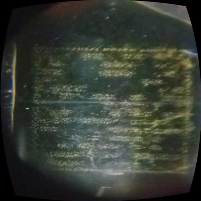 Dataset Image