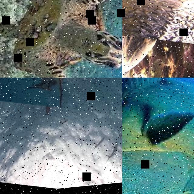 Dataset Image