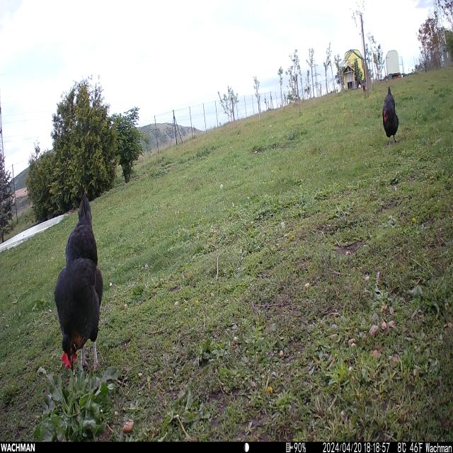 Dataset Image