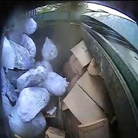 Dataset Image