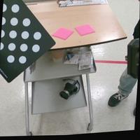 Dataset Image