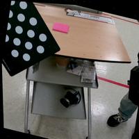 Dataset Image