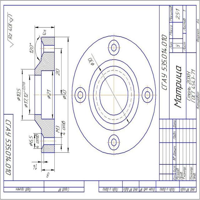 Dataset Image