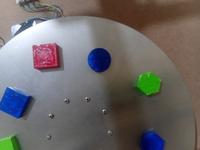 Dataset Image