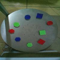 Dataset Image