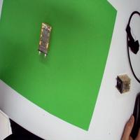 Dataset Image
