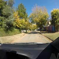 Dataset Image