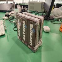 Dataset Image