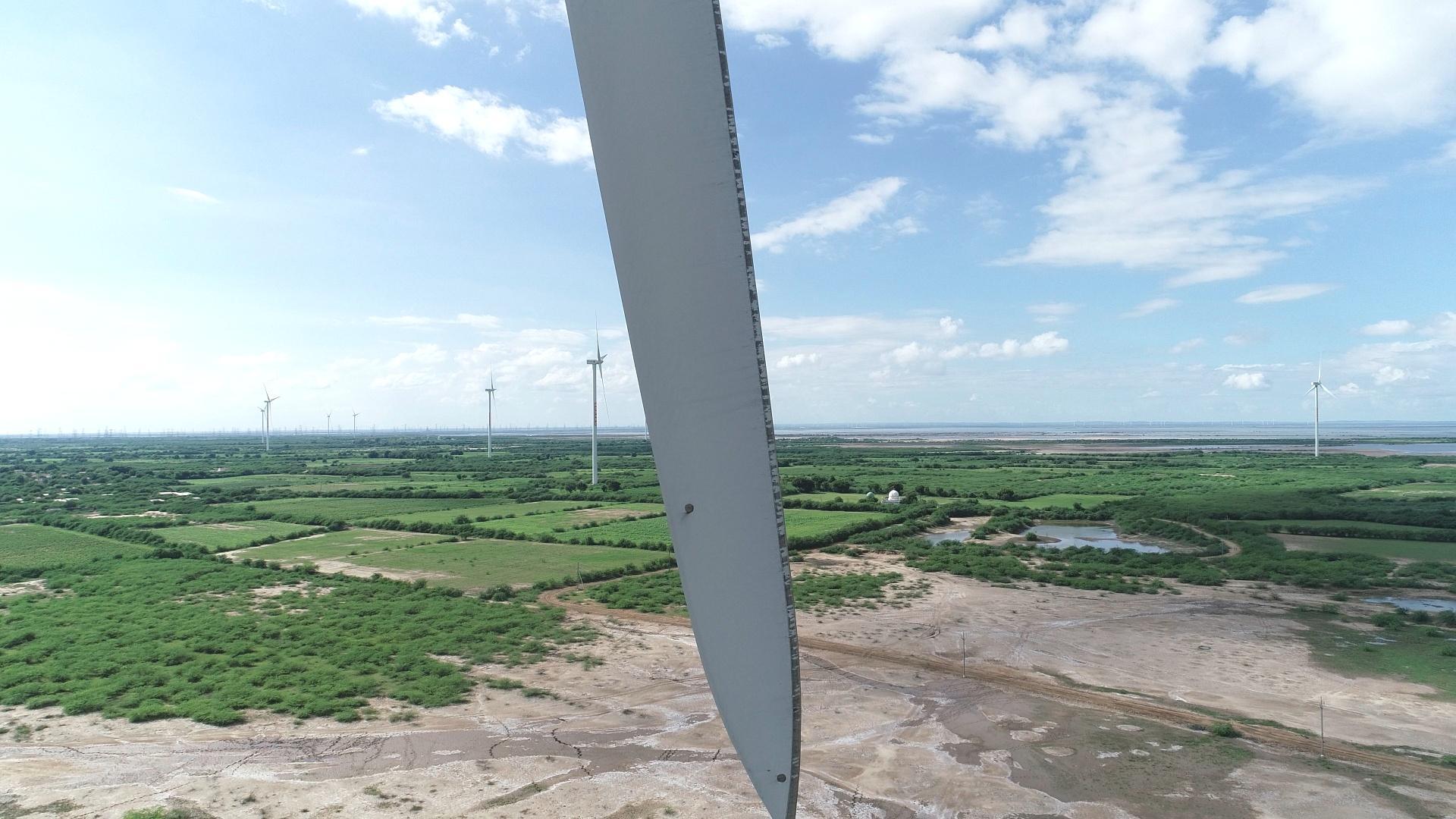 wind turbine Instance Segmentation Model (v8, 2024-03-09 10:13pm) by ...