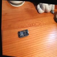 Dataset Image