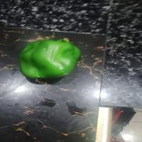 Dataset Image