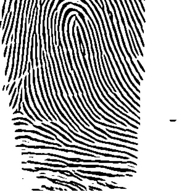 Fingerprint Minutiae Detection Object Detection Dataset (v2, 2023-12-13 ...