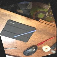 Dataset Image