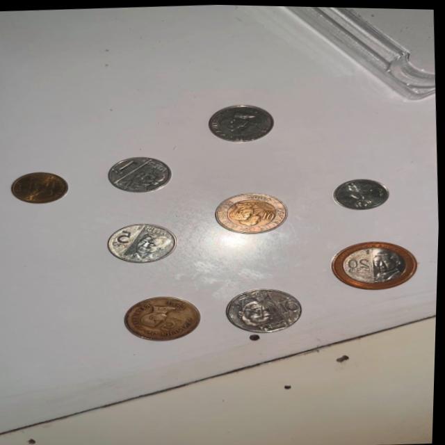 Dataset Image