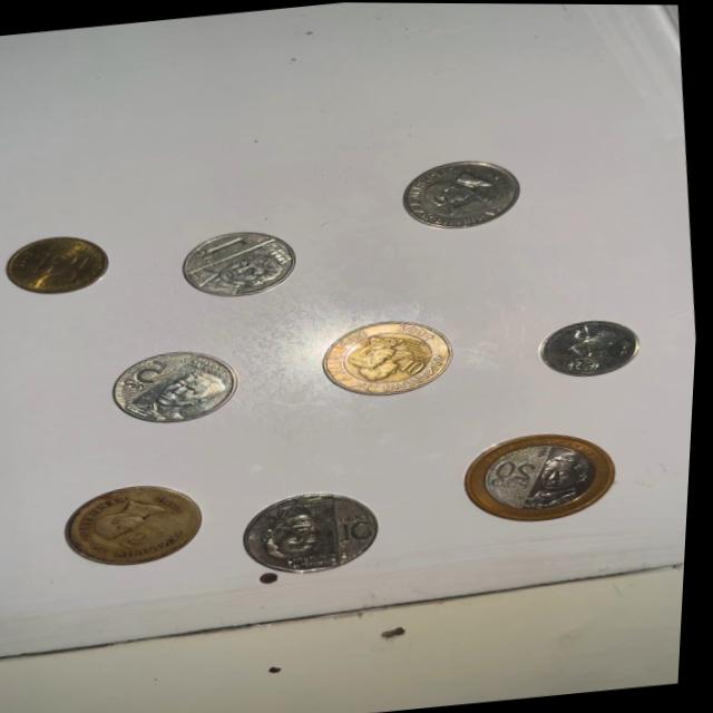 Dataset Image