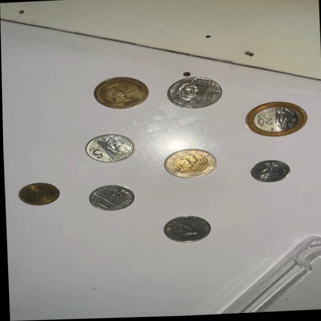 Dataset Image