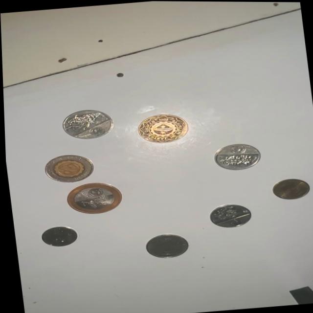 Dataset Image