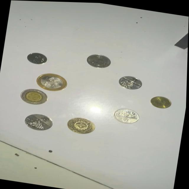 Dataset Image