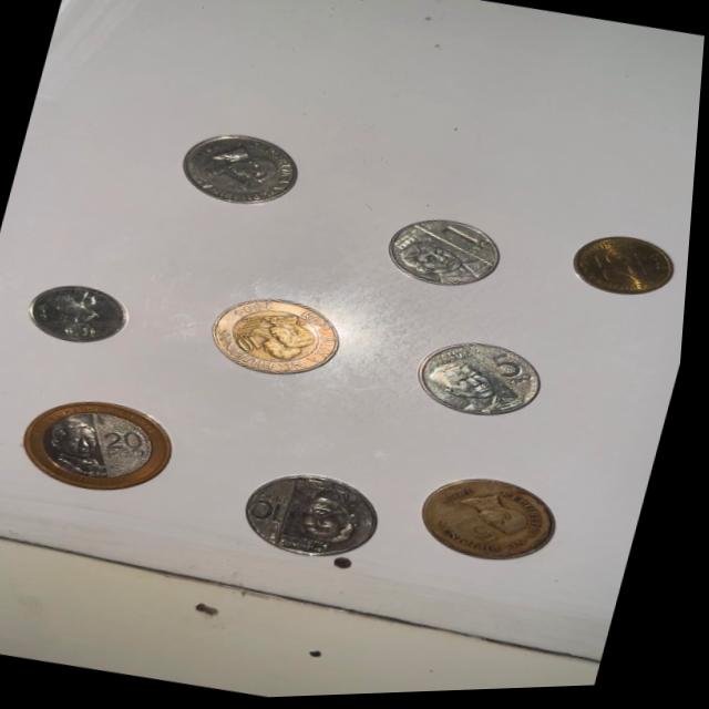 Dataset Image