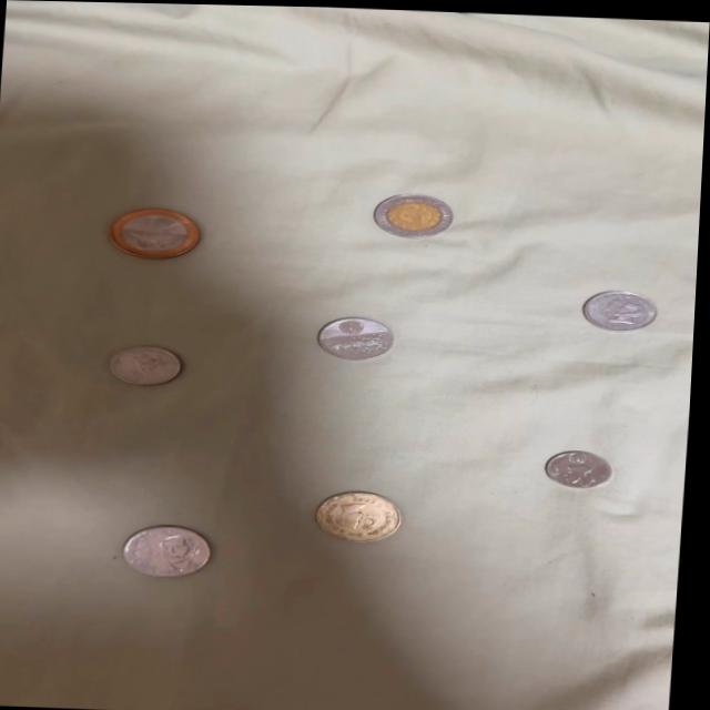 Dataset Image