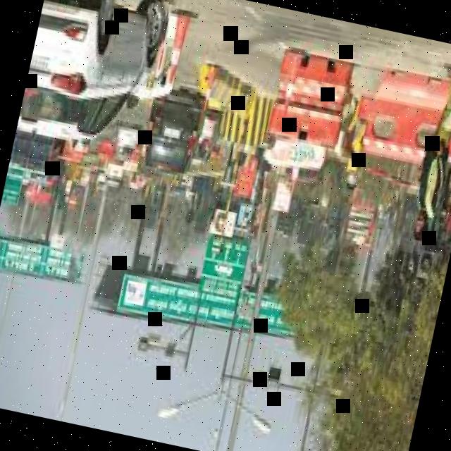 Dataset Image