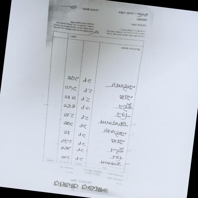 Dataset Image