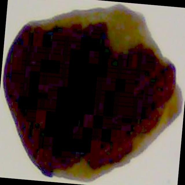 Dataset Image