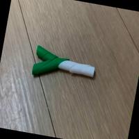 Dataset Image