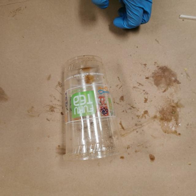 Dataset Image