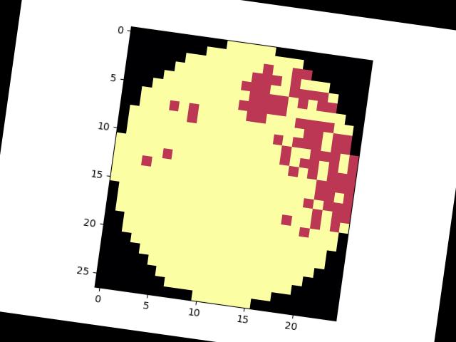 Dataset Image