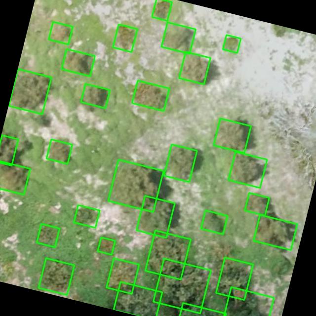 Dataset Image