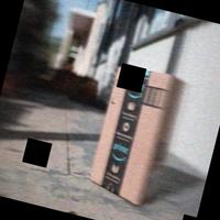 Dataset Image