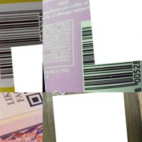 Dataset Image