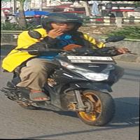 Dataset Image