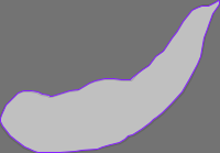 Annotation Visualization