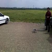 Dataset Image