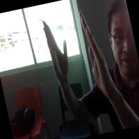 Dataset Image