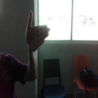 Dataset Image