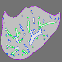 Annotation Visualization