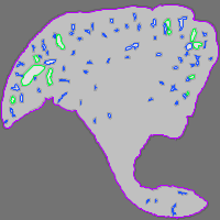 Annotation Visualization